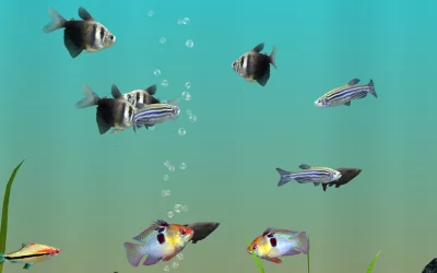 MyLake 3D Aquarium screenshot №4