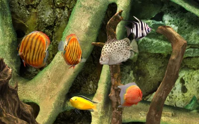 MyLake 3D Aquarium screenshot №6
